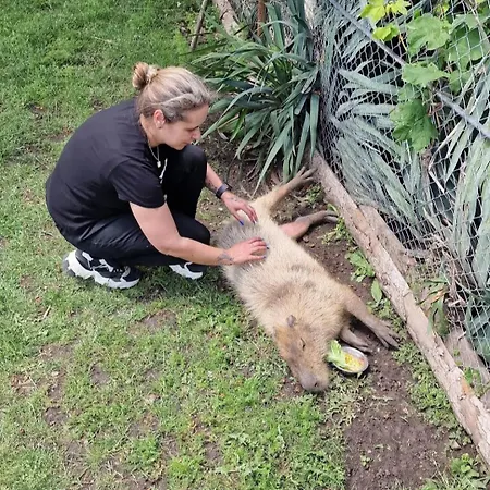 Viriks Estalagem Burgas