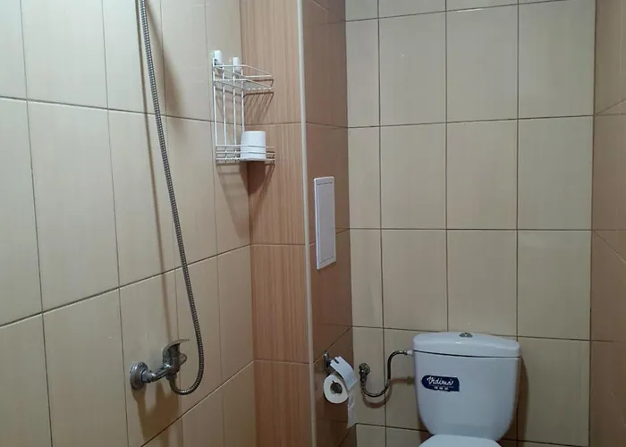 Han/Misafirhane Viriks 3*