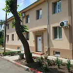 Viriks بورغاس