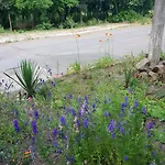 Viriks بيت ريفي